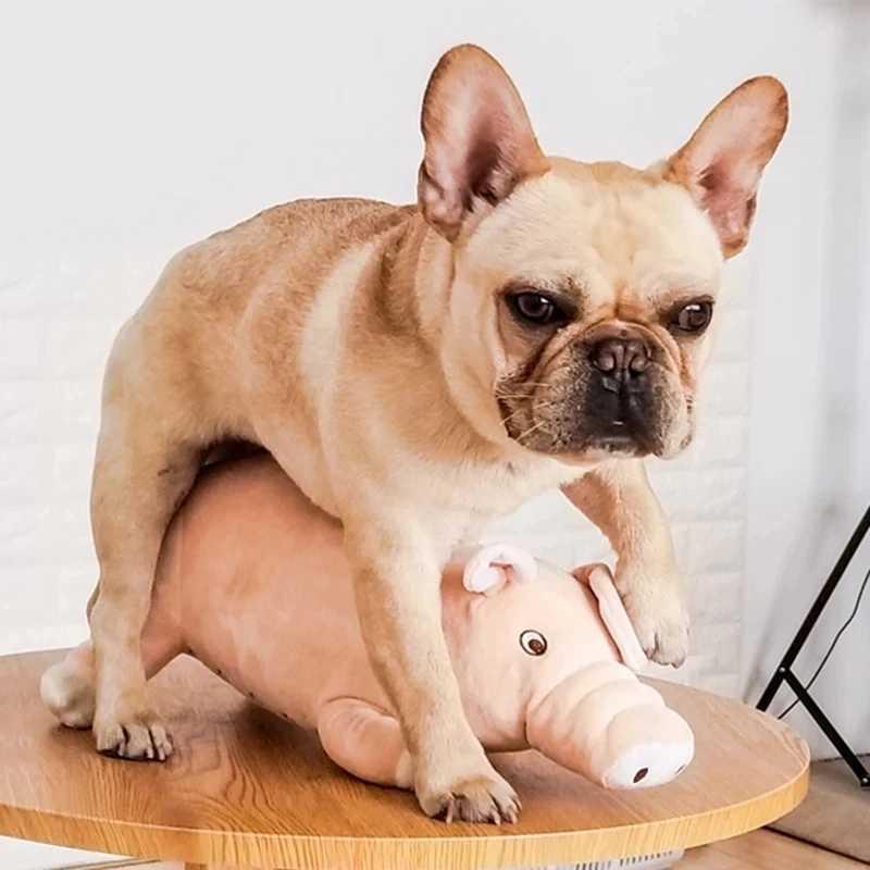 Dog Sleeping Plush Pig Toy Male Pet Sex Vent Stuffed Poodle Play Companion French Bulldog Cat Companion Estrus Animal Stress Rel Q0727